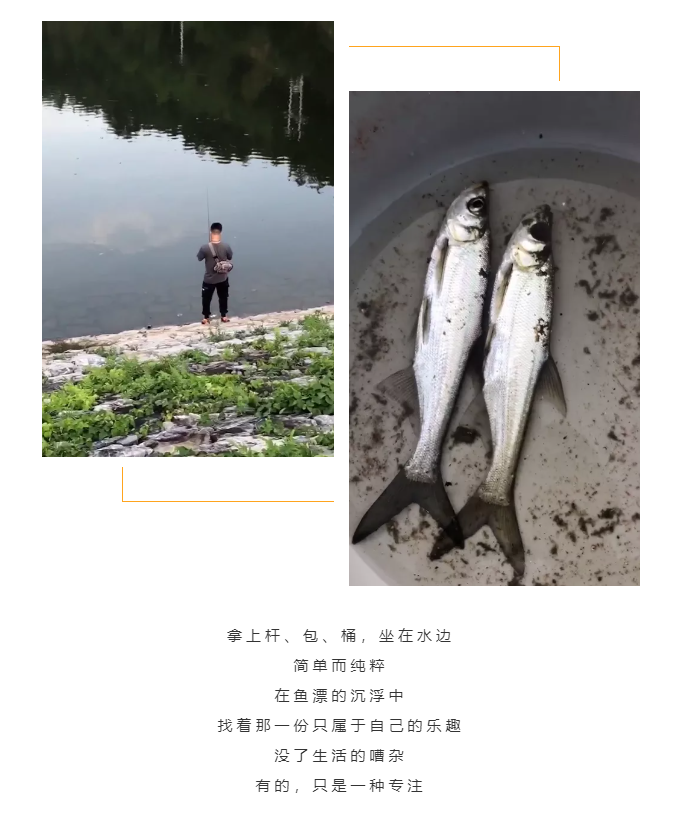 秋天了，來一場(chǎng)成年人的秋游吧(圖5)